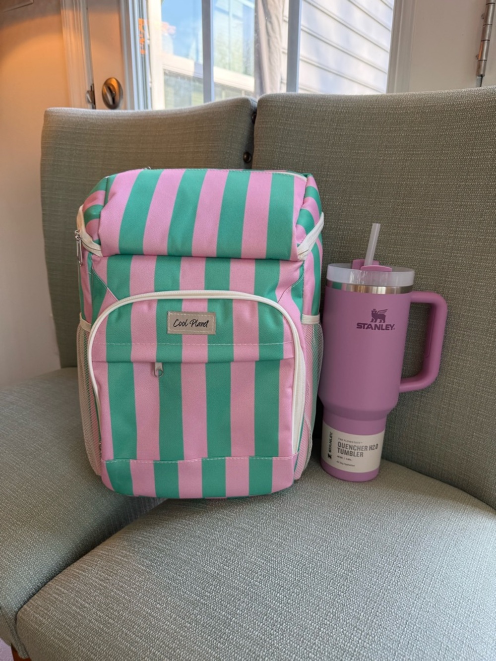 STANLEY 40oz Tumbler & ‘Cool Planet’ Cooler Backpack in Pink & Green - NWT